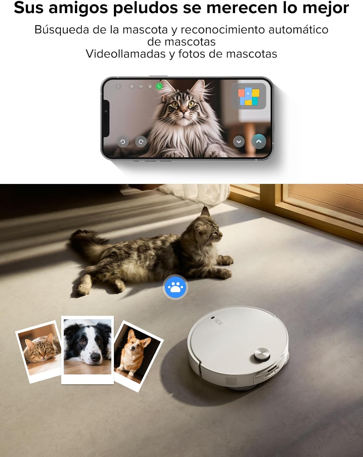 roborock qrevo curv x